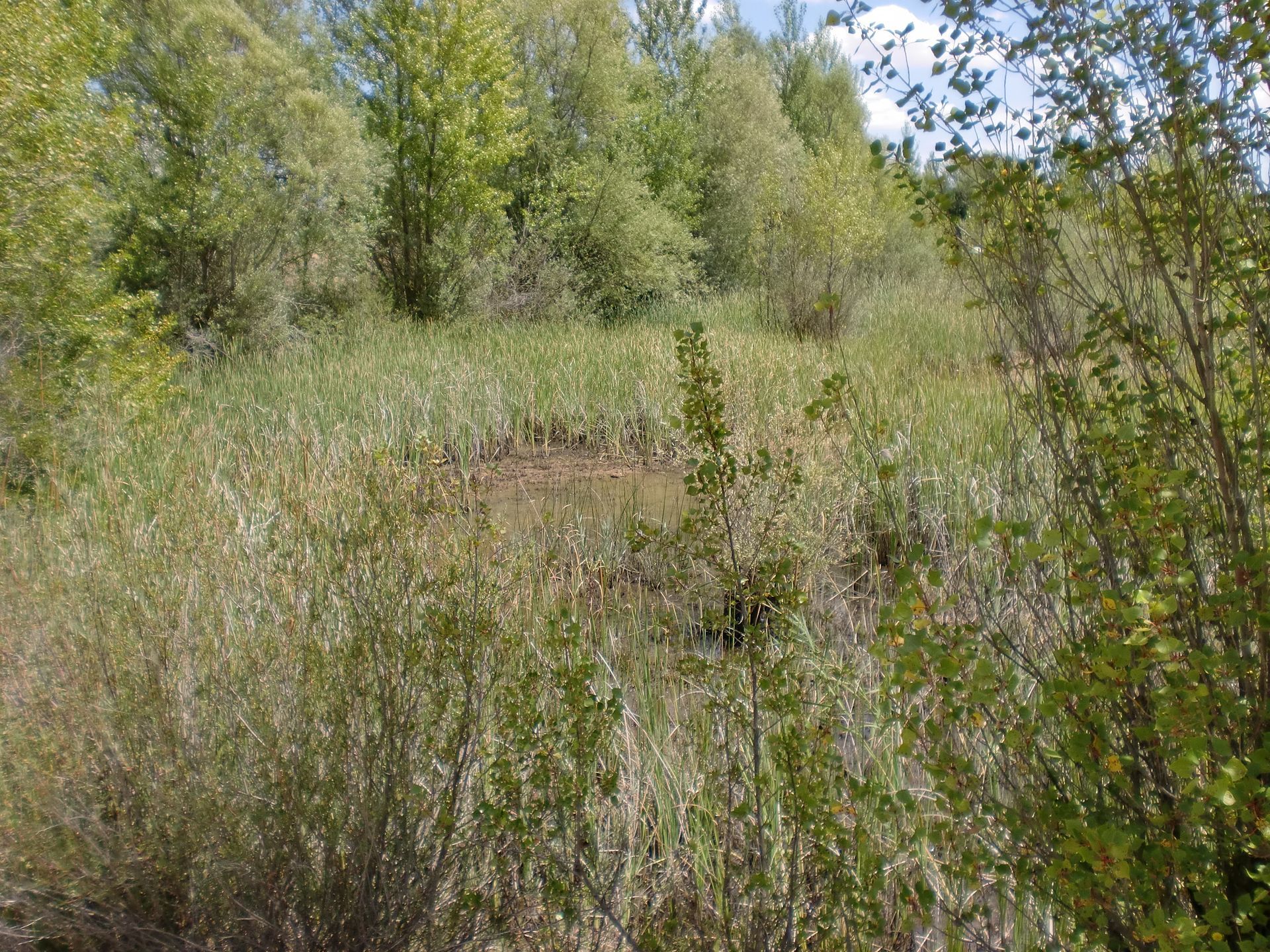 Lagunas de Villasandino