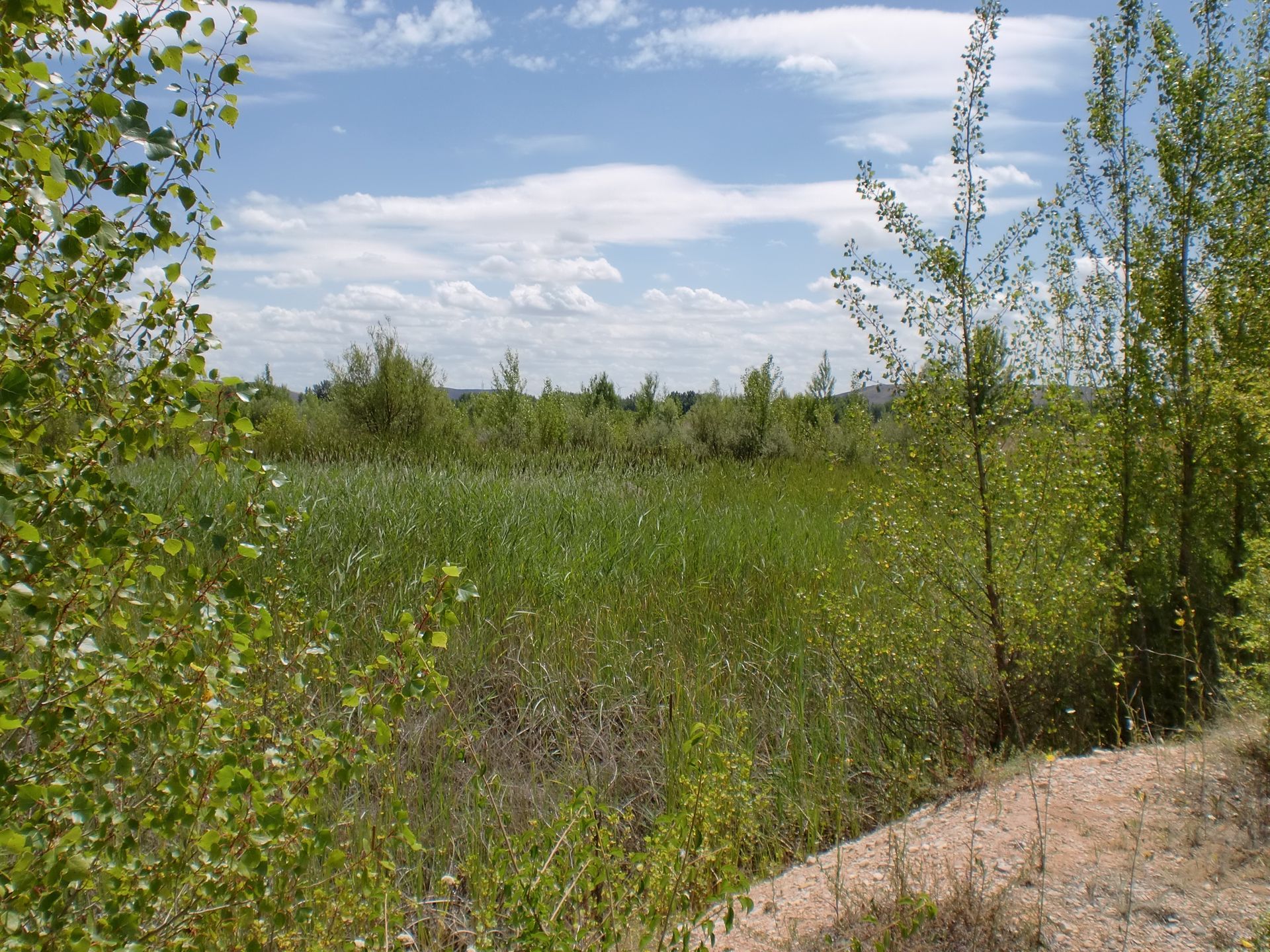 Lagunas de Villasandino