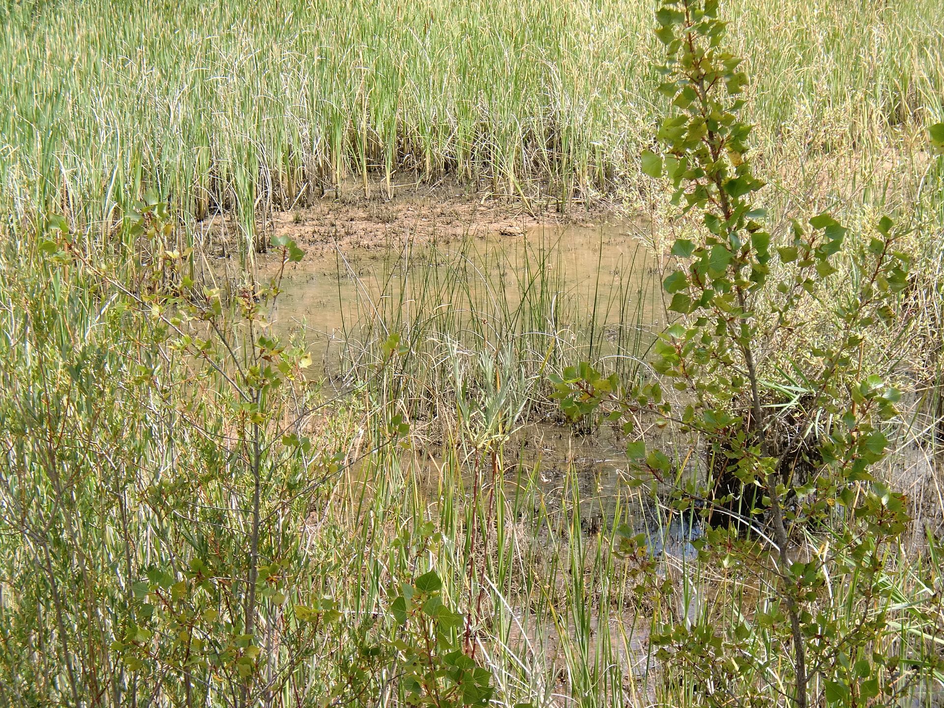 Lagunas de Villasandino